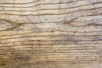 Photo of old oak wood texture with grooves and holes from the worm