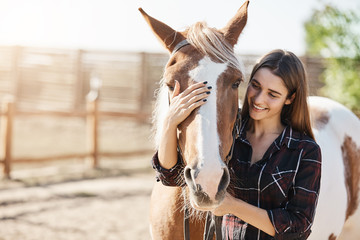Young beautiful girl petting a horse taking care preparing to become a barn manager at an animal...
