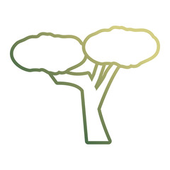 flat line colored  tree over white background  vector illustration