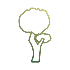 flat line colored  tree over white background  vector illustration