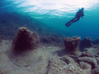 Scuba Diving Malta