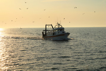 Retour de p&ecirc;che au Grau du roi, Camargue, France