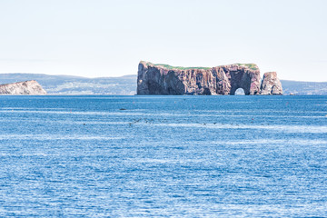 Naklejka premium Many guillemots black birds swimming flying away by Rocher Perce rock and Bonaventure island in Gaspe Peninsula, Quebec, Gaspesie region
