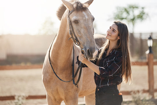 Young woman highly skilled equine foot care professional walking out a horse on animal farm on a sunny summer day.