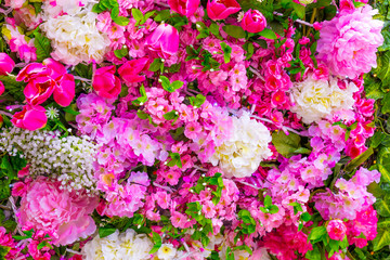 Abstract background of flowers