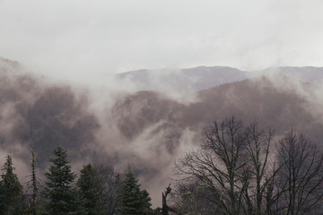 View through branches to deep misty valley within daybreak. Foggy and misty morning on the hilly view point. A foggy morning at the foot of a mountain 