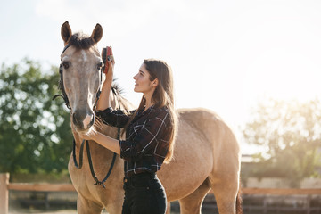 Young female horse groom brushing a new stallion and taking care. Running a ranch is a big responsibility.