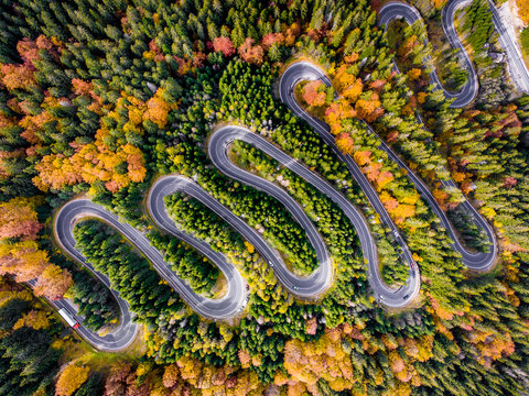 Roadtrip in the Forest in Autumn