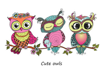 Three cute colorful owls sitting on tree branch