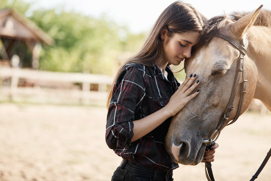 Portait of young female broodmare petting a new horse on a ranch on a sunny summer day.