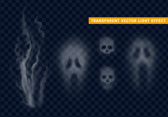 Skull silhouette. Face of ghost on transparent background