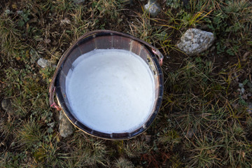 Close up of fresh milk in a wooden bucket.