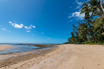 Tropical Beach - Vacation Concept