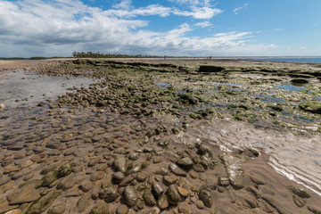 Tropical beach with rocks