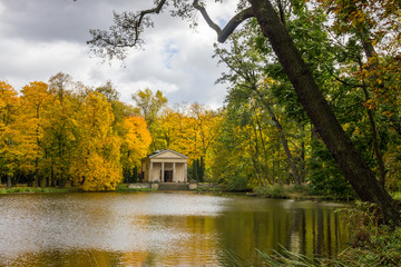 Fototapeta na wymiar autumn colours in the park