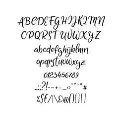 Vector hand drawn alphabet and symbols. Script font isolated on white background. Handwritten alphabet for your designs: wedding decor, logo, posters, invitations, cards, etc.
