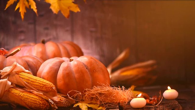 Thanksgiving Day. Wooden table decorated with pumpkins, corn combs, candles and autumn leaves. 4K UHD video 3840x2160