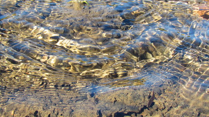 Obraz premium Shallow waters