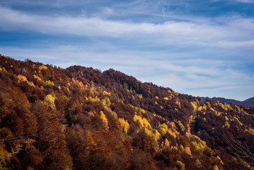 Fototapeta premium Colorful autumn landscape on a mountain