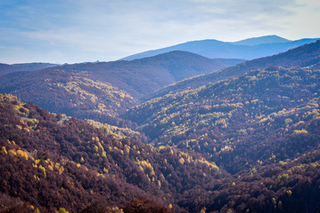 Colorful autumn landscape on a mountain