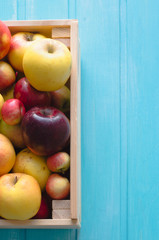 Apples in wooden box on blue background.