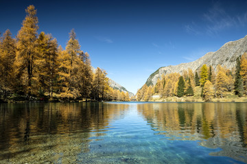 Fototapeta na wymiar Colorful autumn in the vallaey of Engadin, Graubünden Switzerland, Europe