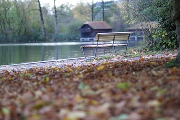 Sitzbank am Sempachersee im Herbst