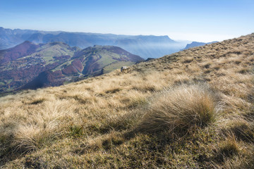 landschaft auf Monte Altissimo