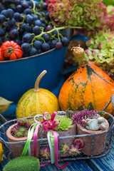 Farbenfrohe Erntezeit