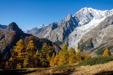 Fototapeta na wymiar View of mountain peaks, of the Mont Blanc massif and coniferous forests in autumn, Val Ferret, Aosta valley, Italy
