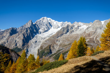 View of mountain peaks, of the Mont Blanc massif and coniferous forests in autumn, Val Ferret, Aosta valley, Italy