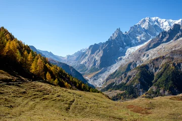 Fotobehang Mont Blanc View of mountain peaks, of the Mont Blanc massif and coniferous forests in autumn, Val Ferret, Aosta valley, Italy
