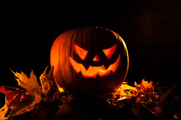 a terrifying halloween pumpkin illuminates the darkness around it