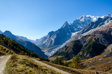 Fototapeta na wymiar View of mountain peaks, of the Mont Blanc massif and coniferous forests in autumn, Val Ferret, Aosta valley, Italy