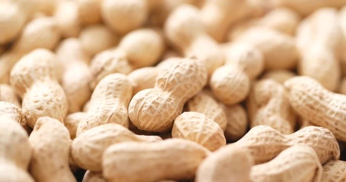Peanut