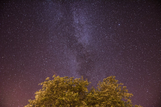 Night sky full of stars