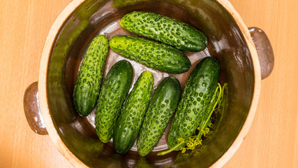 Making pickled cucumbers in clay jar