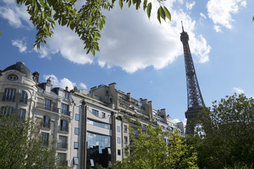 Fototapeta na wymiar Tour Eiffel depuis le parc du musée du Quai Branly