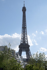 Fototapeta na wymiar Tour Eiffel depuis le Quai Branly