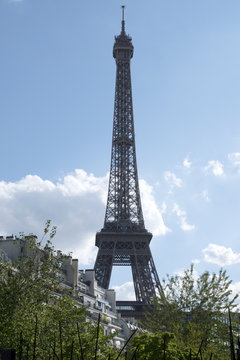 Tour Eiffel depuis le Quai Branly