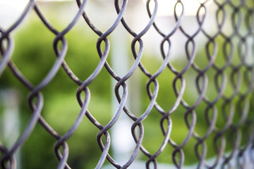 View through the grate Rabitz background