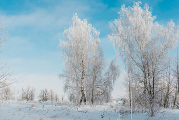 winter landscapes