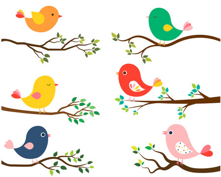 Cute and colorful vector birds in flat style on curvy spring or summer tree branches with green leaves on white background