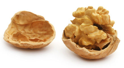 Walnut