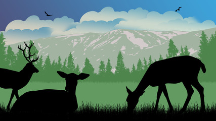 Deers on wild nature landscape