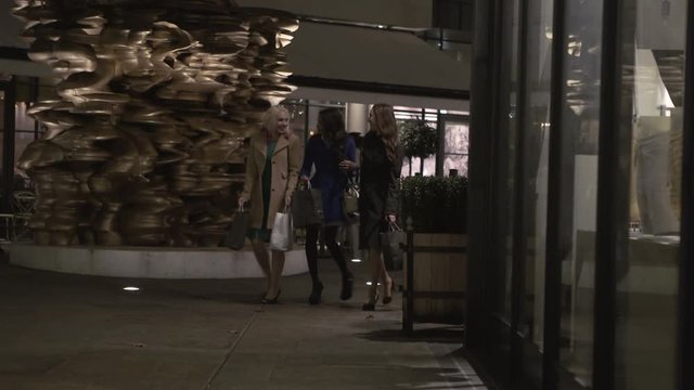  Female friends with shopping bags looking in shop window in the city at night