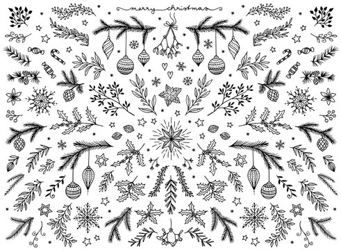 Hand sketched floral design elements for Christmas: pine tree branches, holly, mistletoe and other floral ornaments for text decoration