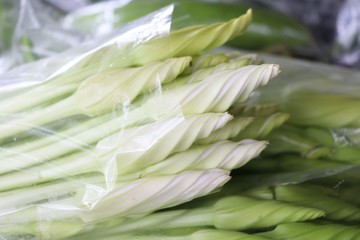 Fresh Daylily raw food in plastic bag at Local Market Thailand