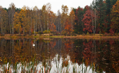 Jesień nad jeziorem