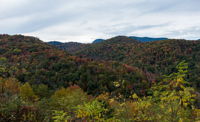 tall mountains with fall colors